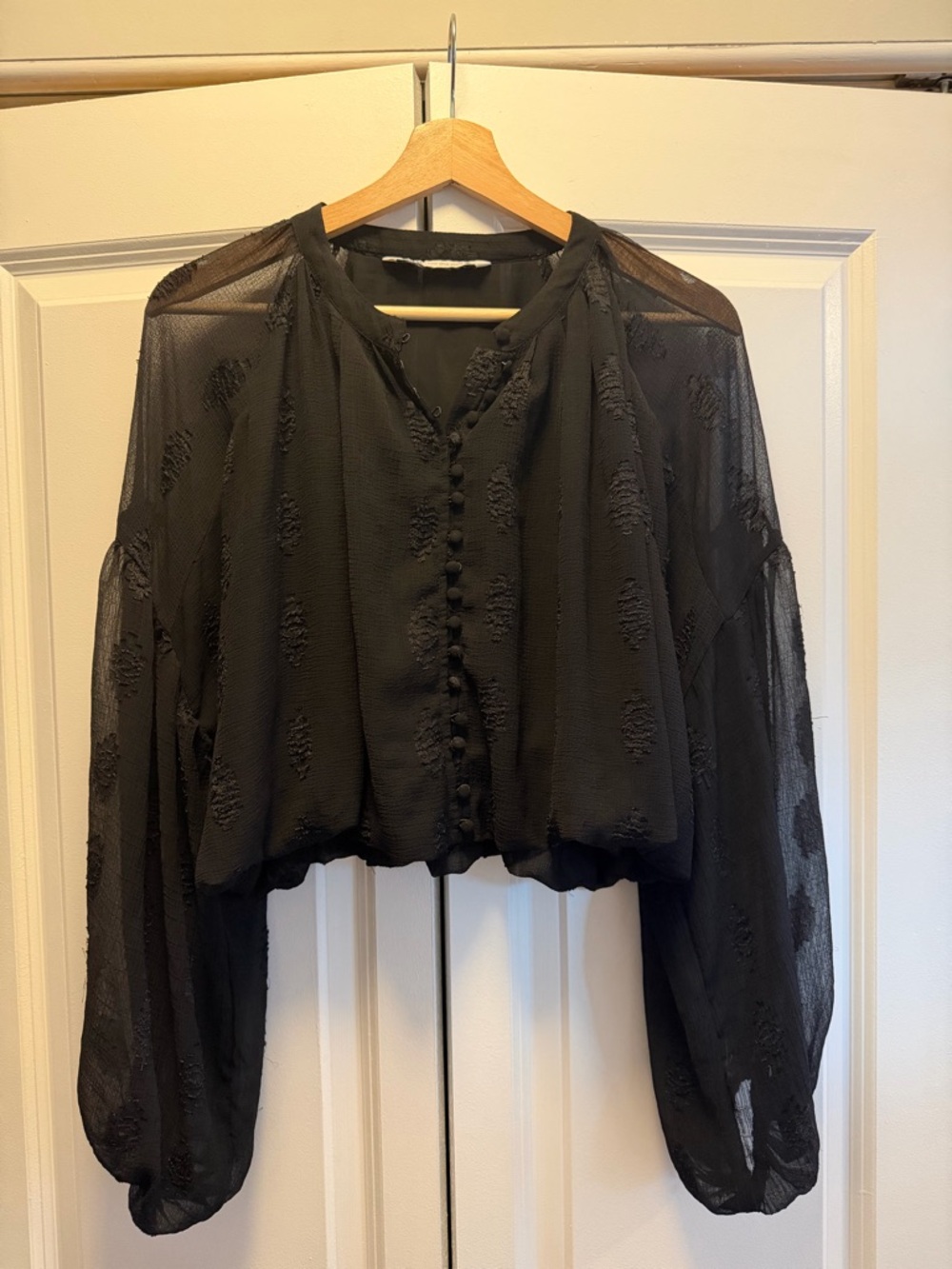 Zara Sheer Black Button-Front Blouse